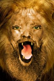 LIONMAN